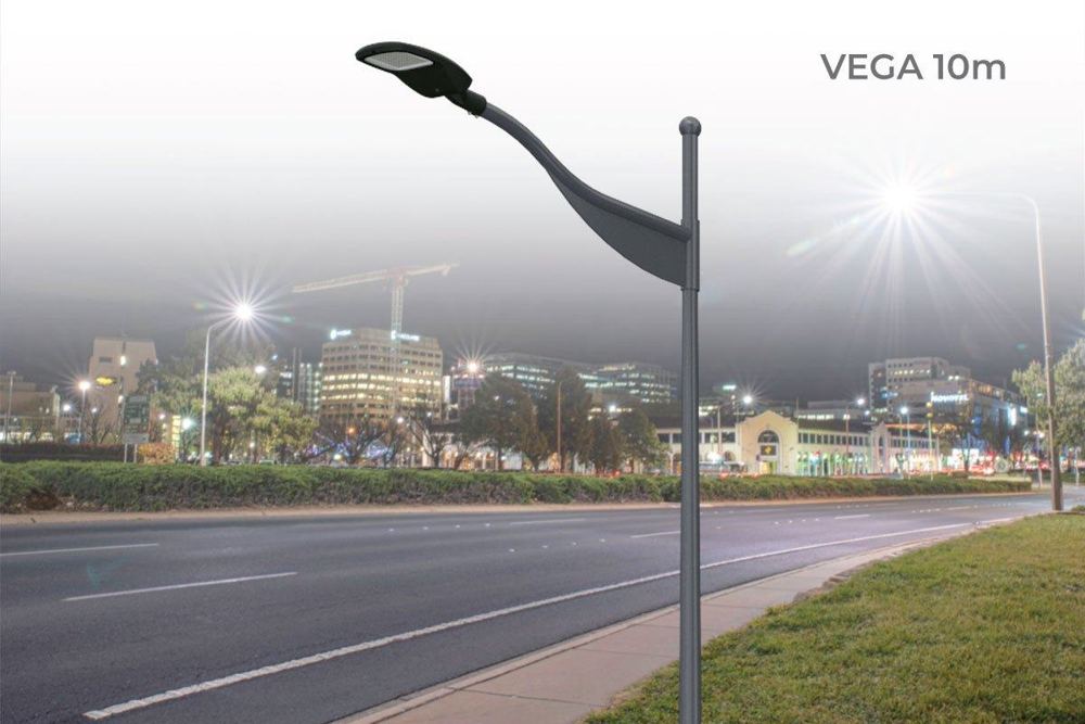 Ensemble VEGA